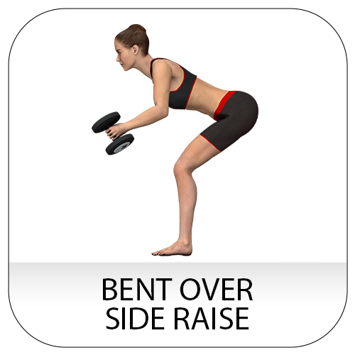 Bent over side raise